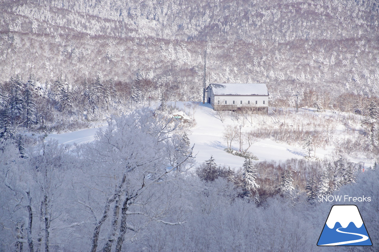 2018-2019 winter ☆パウダースノーで初滑り☆ 北海道札幌市・札幌国際スキー場